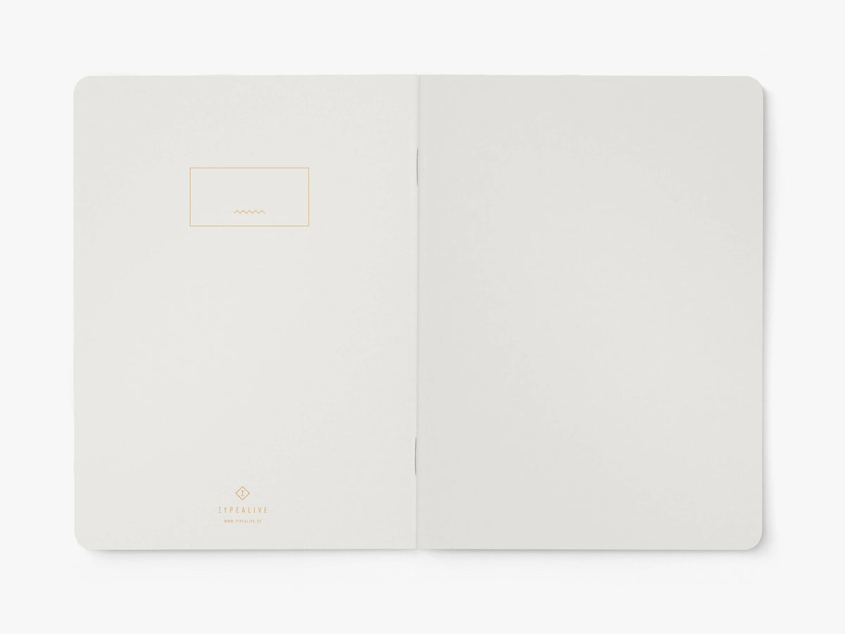 Eerste binnenpagina van het notitieboek 'Terrible ideas that felt brilliant at the time' van typealive