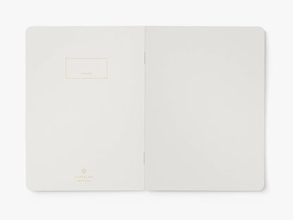 Eerste binnenpagina van het notitieboek 'Terrible ideas that felt brilliant at the time' van typealive