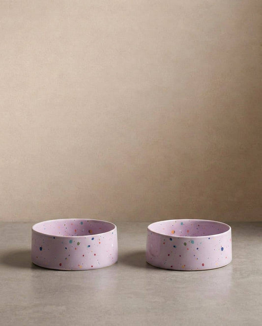 Set van 2 hondenvoerbakjes 14cm Egg Back Home Lila