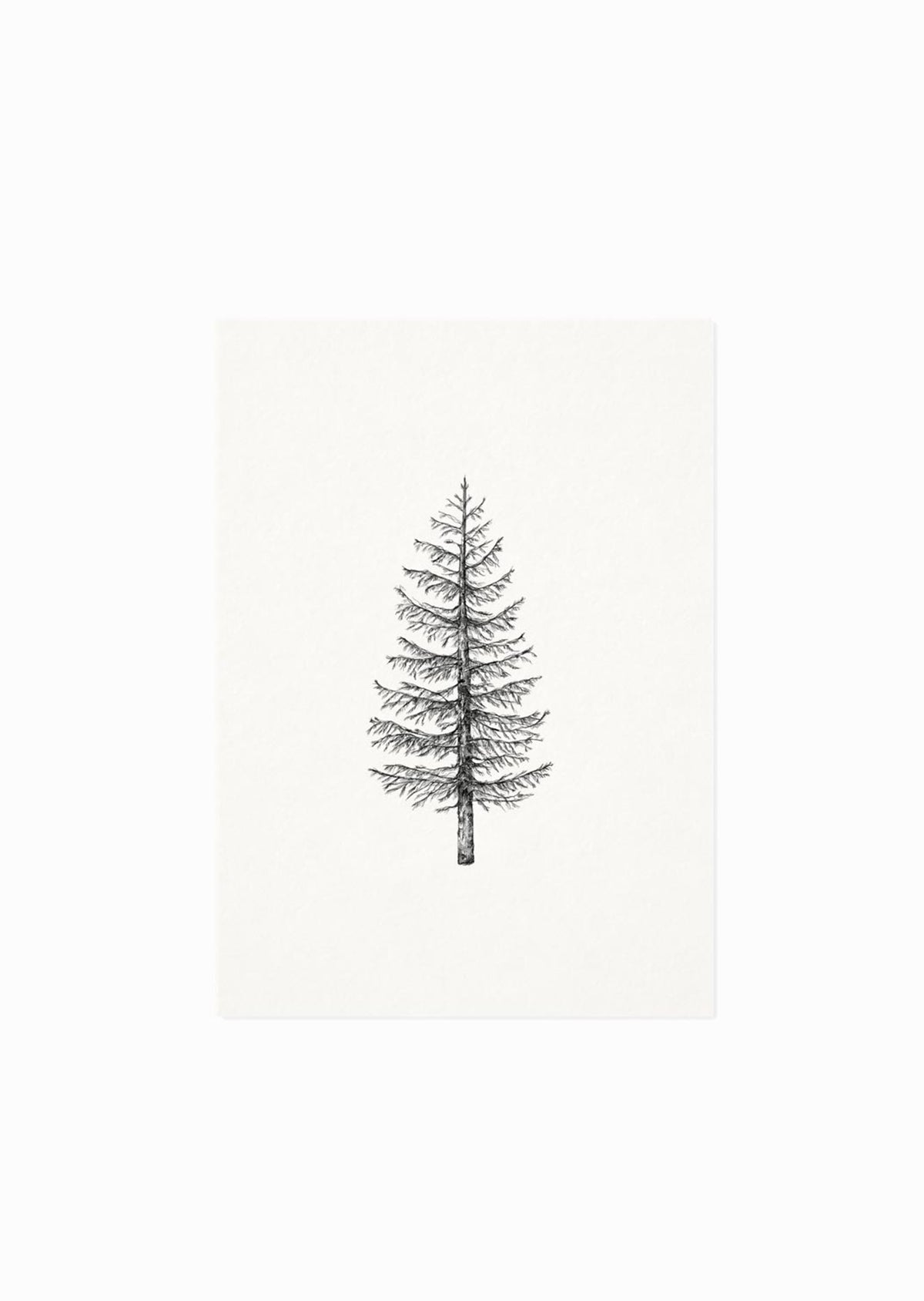 Officiële foto van de postkaart met een handgetekende dennenboom in zwart-wit van Inkylines