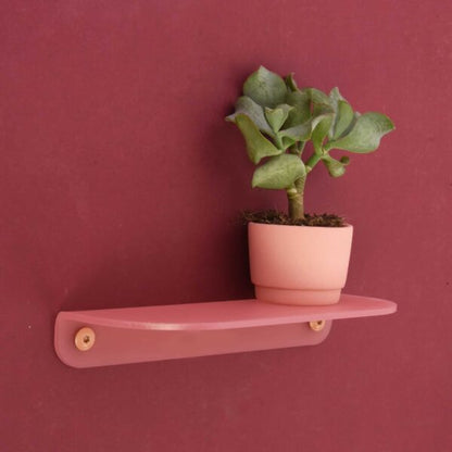 Wandschap 'Show-it'